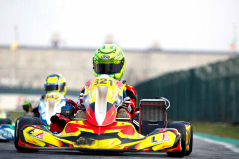 Image Not Found On Media Library